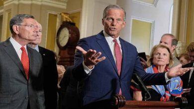 FCC pressure on Disney