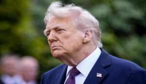 Trump investigates liberal groups